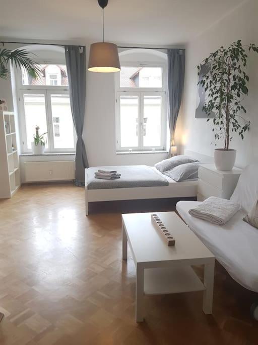 Studio In Dresden Neustadt Louisenstrasse 外观 照片